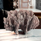 Imitation Coral Sculpture for Coastal Themed Home Rock Garden Aquarium. Vacation Property Tropical Display. Gift for Dad, Fisherman.