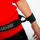 Hoop Harness