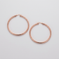 14k Rose Gold Polished Hoop Earring (25 mm)