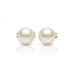 14k Yellow Gold Freshwater Cultured White Pearl Stud Earrings (7.0 mm)