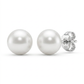 Freshwater Pearl Earrings in Sterling Silver