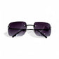 Papillon Purple Sunglasses