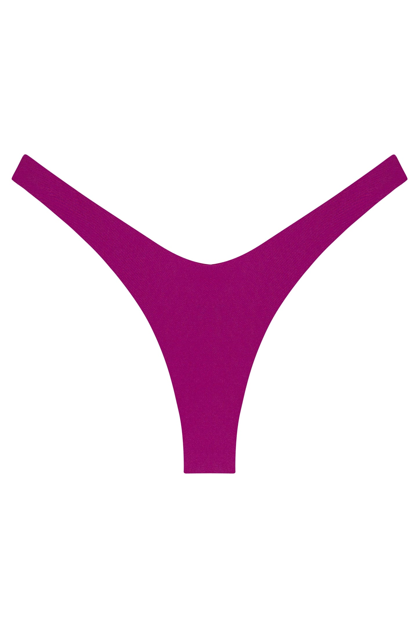 Ludisia Bottom