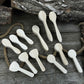 Set of 12 Linden Wood Spoon Carving Blanks