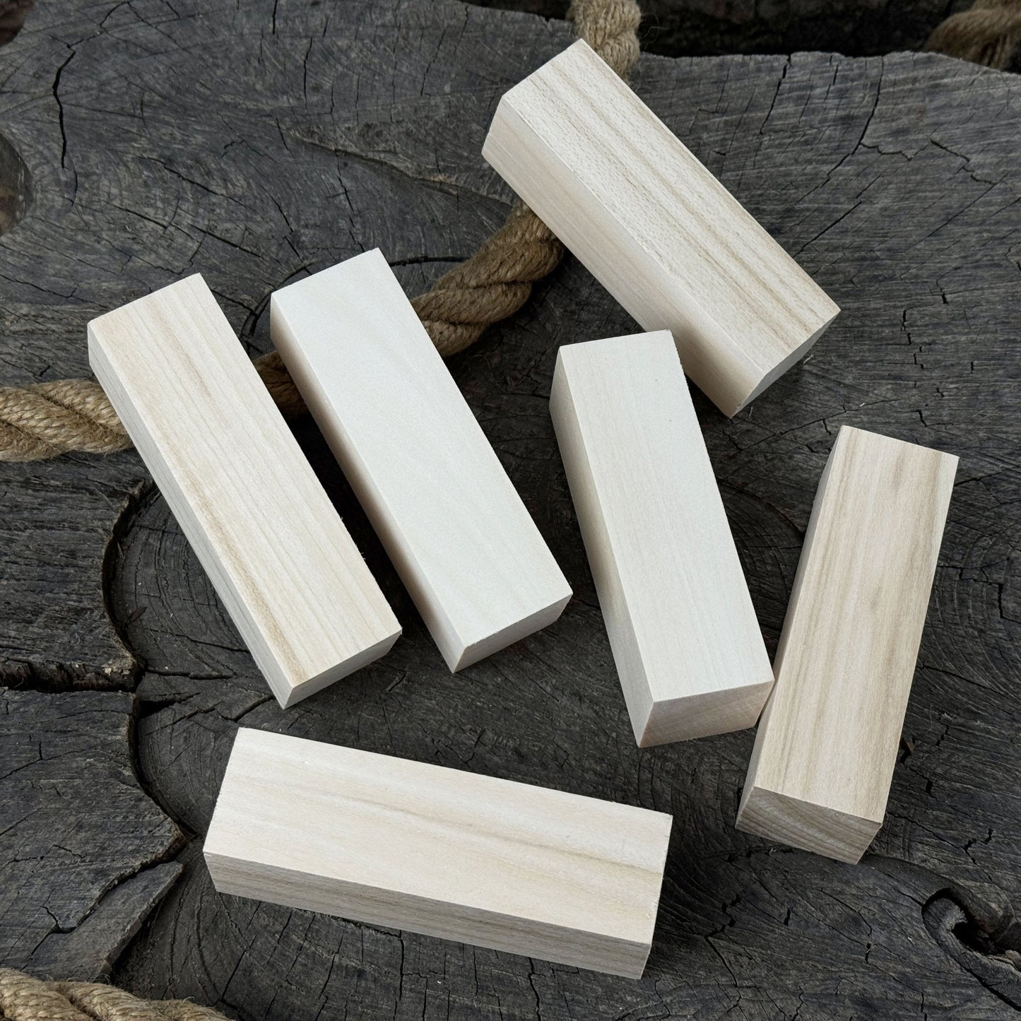 Set of 6 Medium Rectangular Linden Wood Carving Blanks