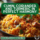Taste of India: Masala Seasoning Blend