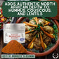 Taste of Morocco